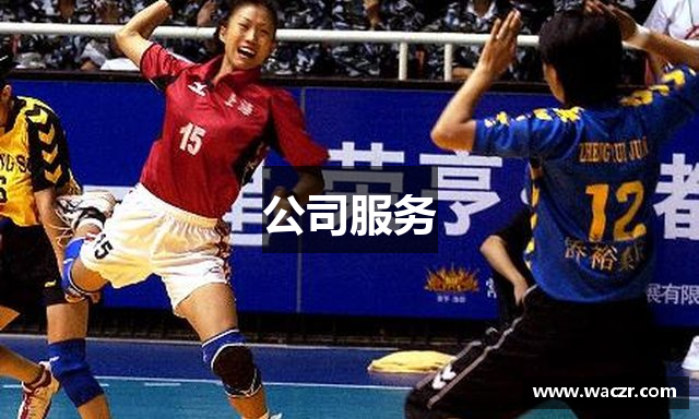 公司服务